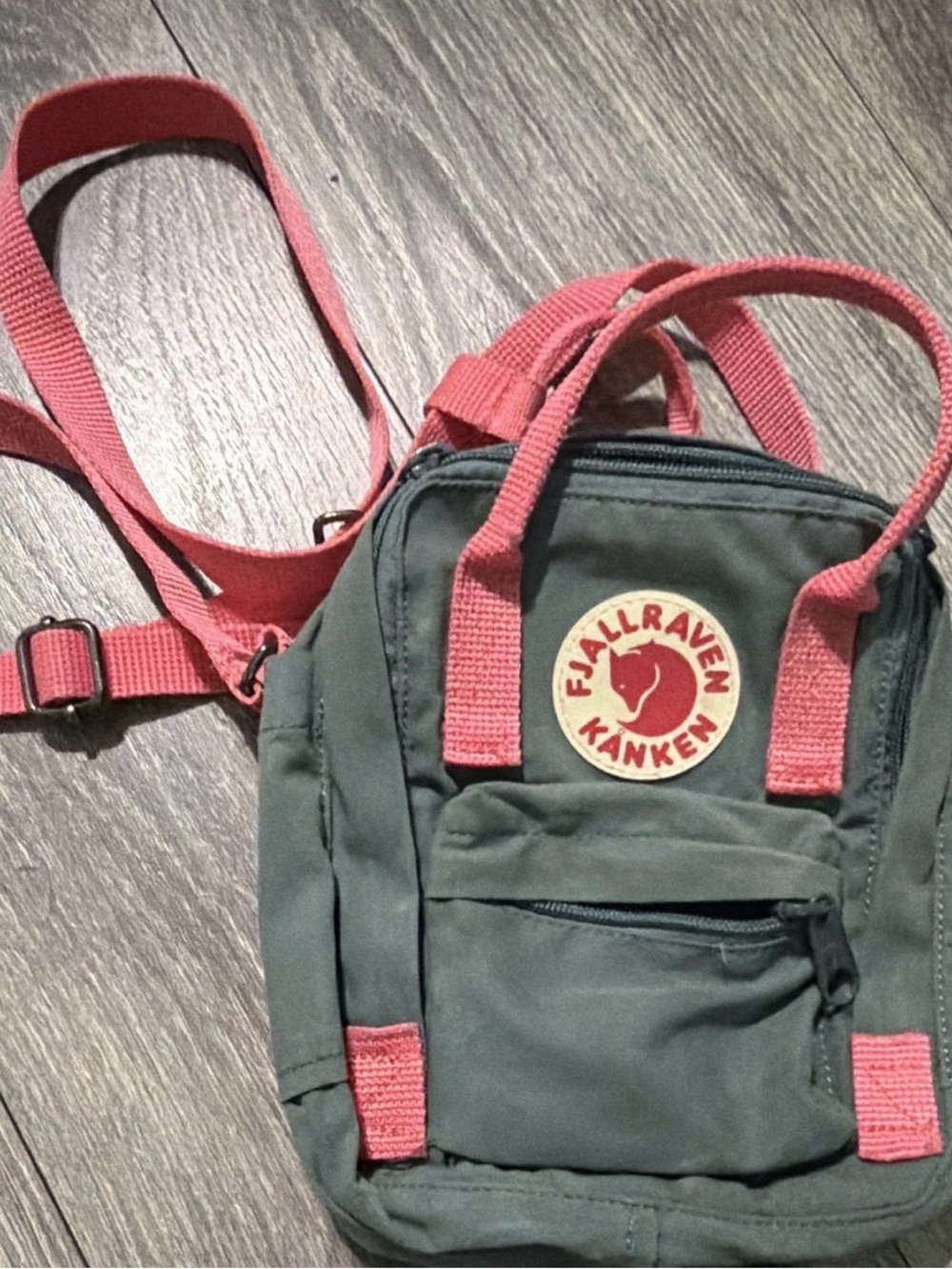Mini  Backpack - Pink Straps with Green Body